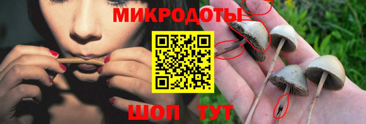 наркотики  Псилоцибиновые грибы Magic Shrooms  Вход с VPN  Белая Калитва 