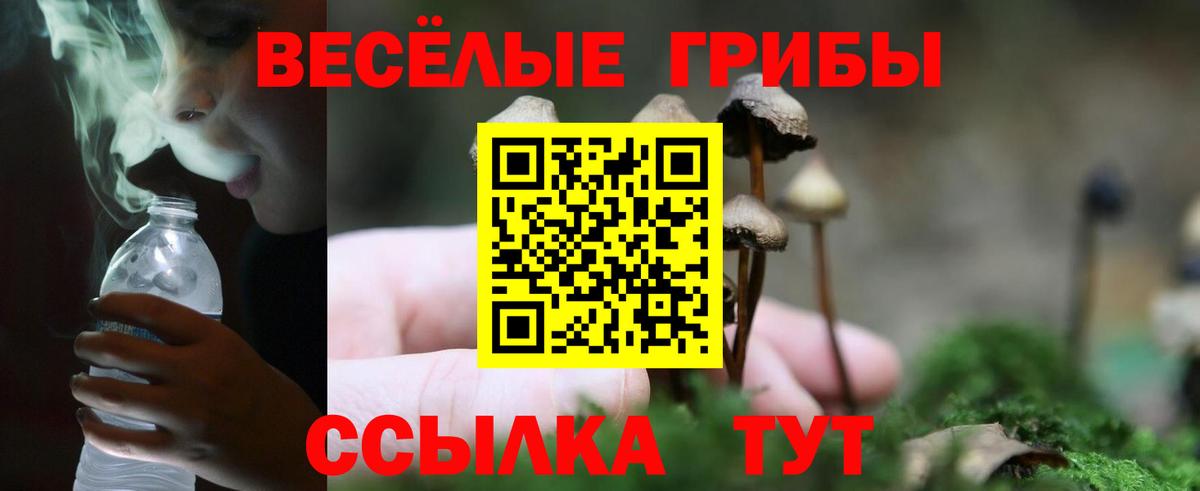 Псилоцибиновые грибы Psilocybine cubensis Белая Калитва